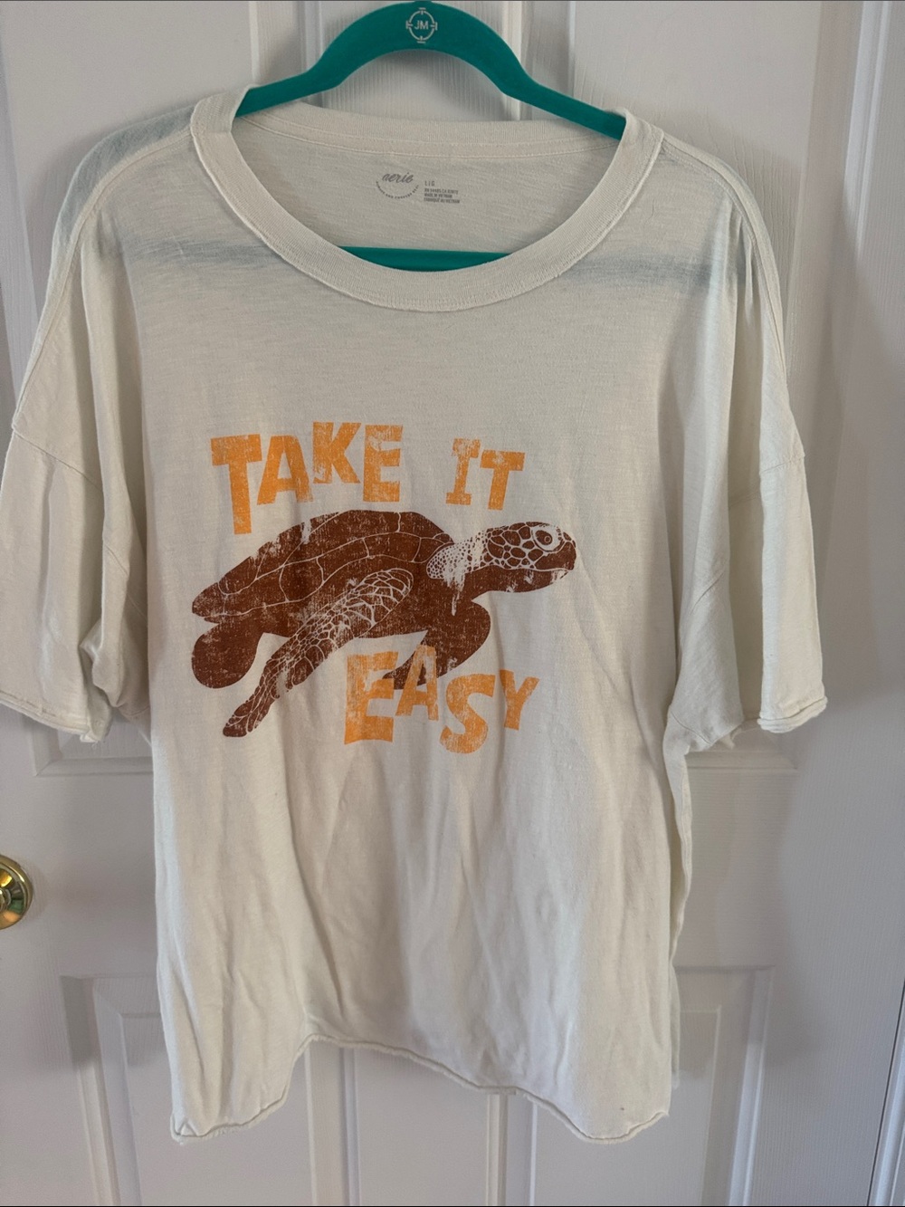 Aerie Take It Easy Turtle Graphic Tee - Cream with Orange & Brown size L